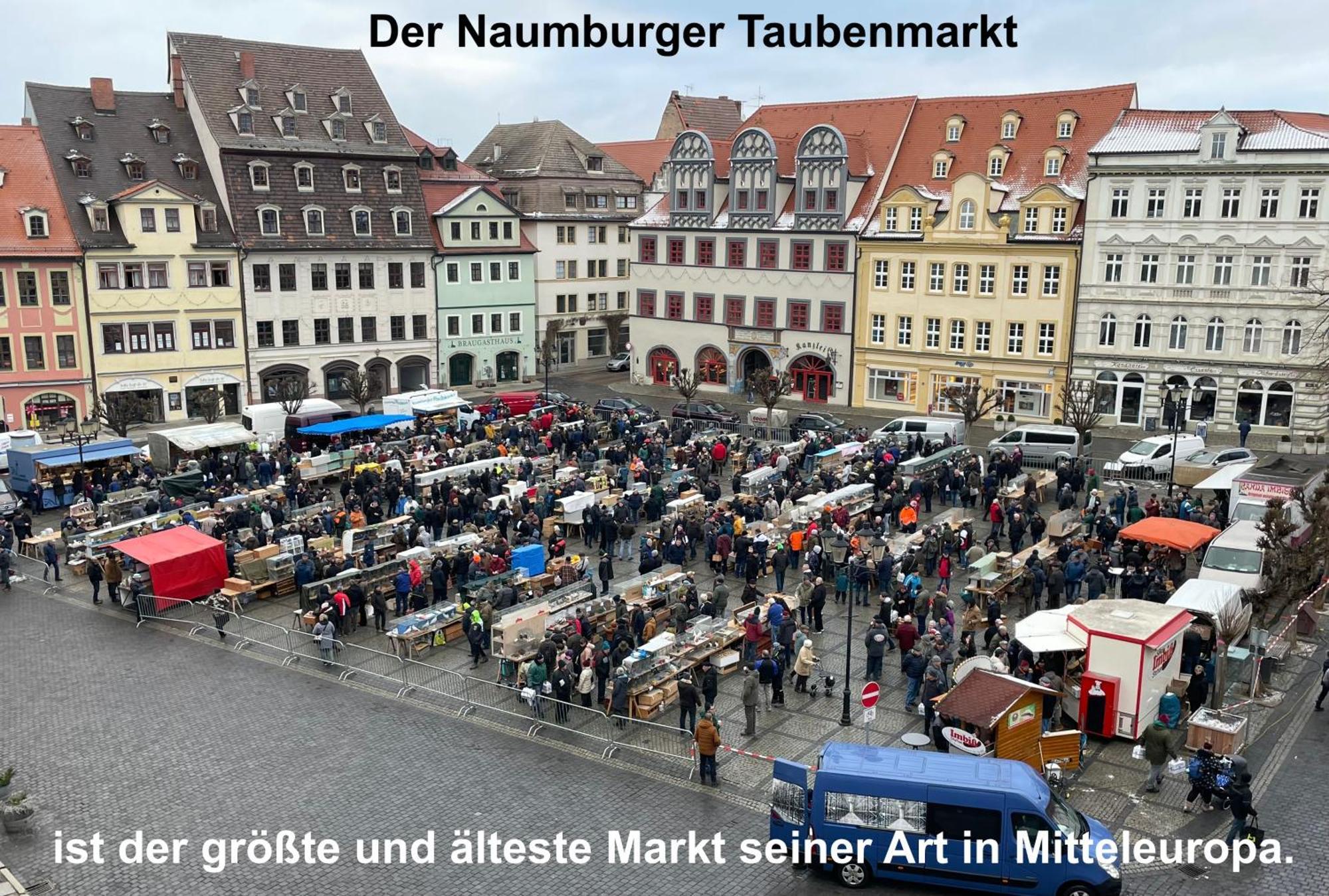 Brix Apartment Naumburg  Kültér fotó